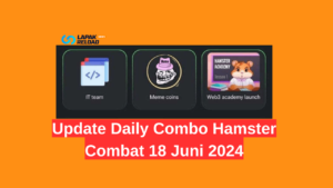 Update Daily Combo Hamster Combat 18 Juni 2024